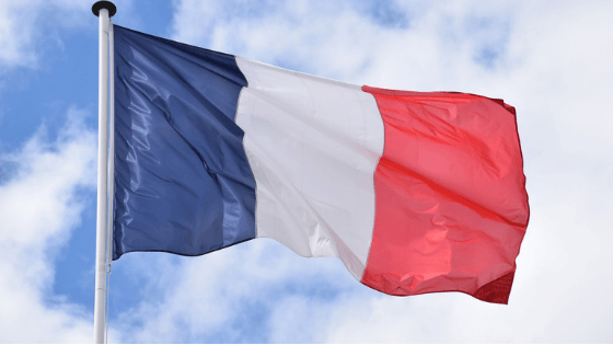 Plans by French Authorities to Tackle the Delay in VAT Registration and the VAT Refund Backlog in France